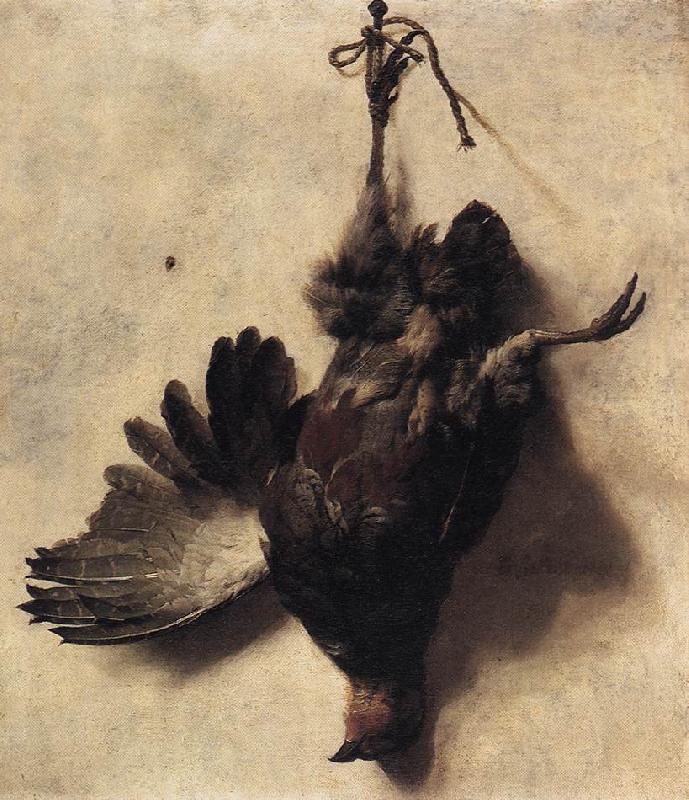 WEENIX, Jan Baptist Dead Partridge